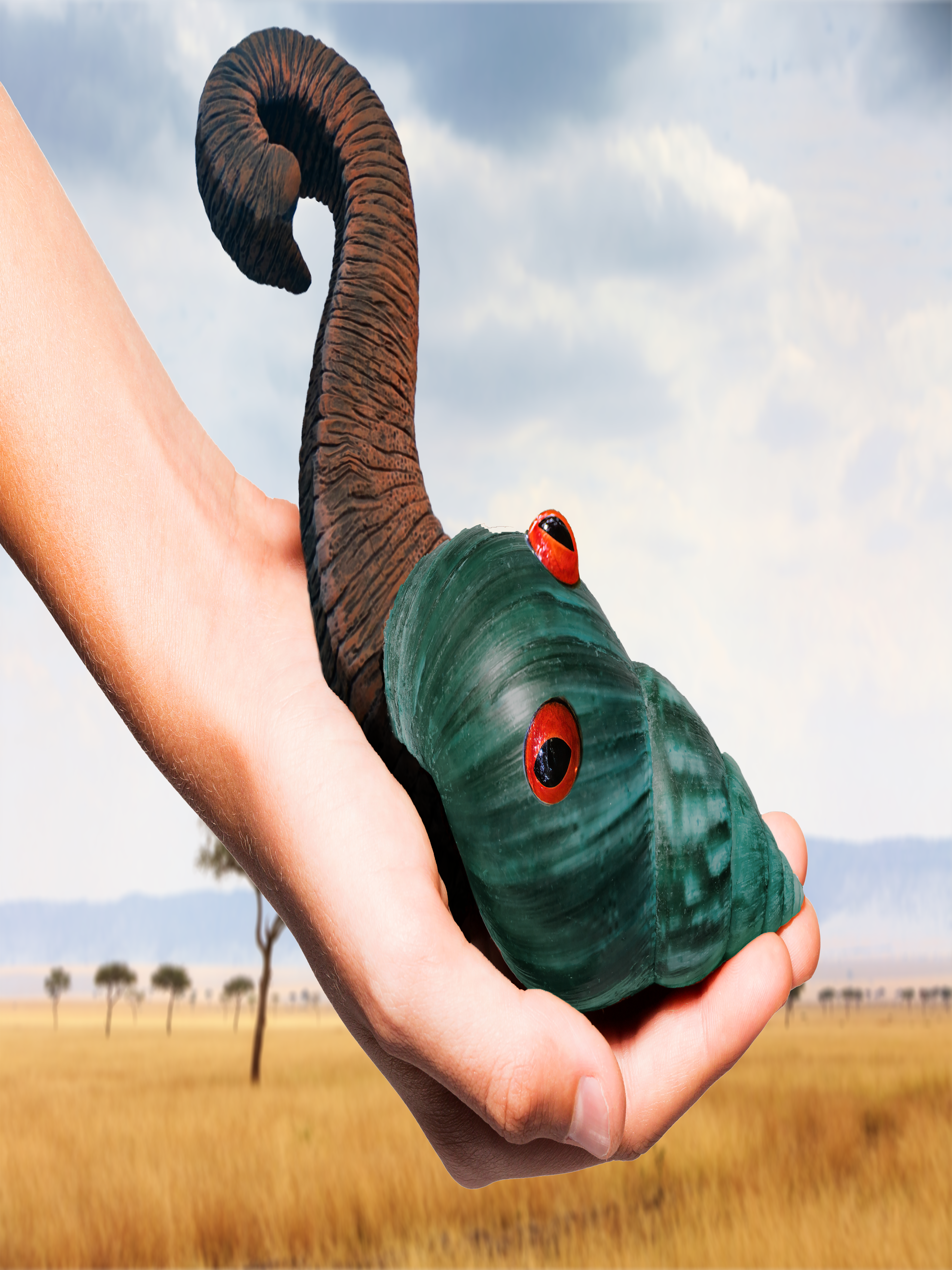 species